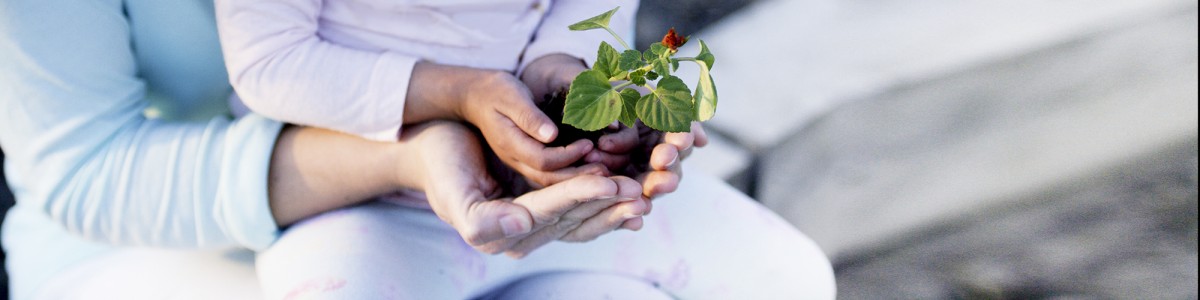 A child and an adult hold a plant in soil in their hands. Their hands are cupped together and the child's are on top of the adult's.