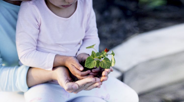 A child and an adult hold a plant in soil in their hands. Their hands are cupped together and the child's are on top of the adult's.