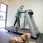 Woman on treadmill while her guide dog watches