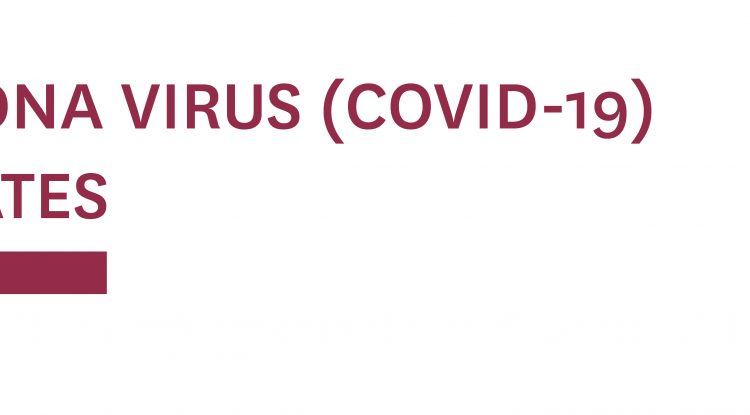 text: "coronavirus (covid-19) update"